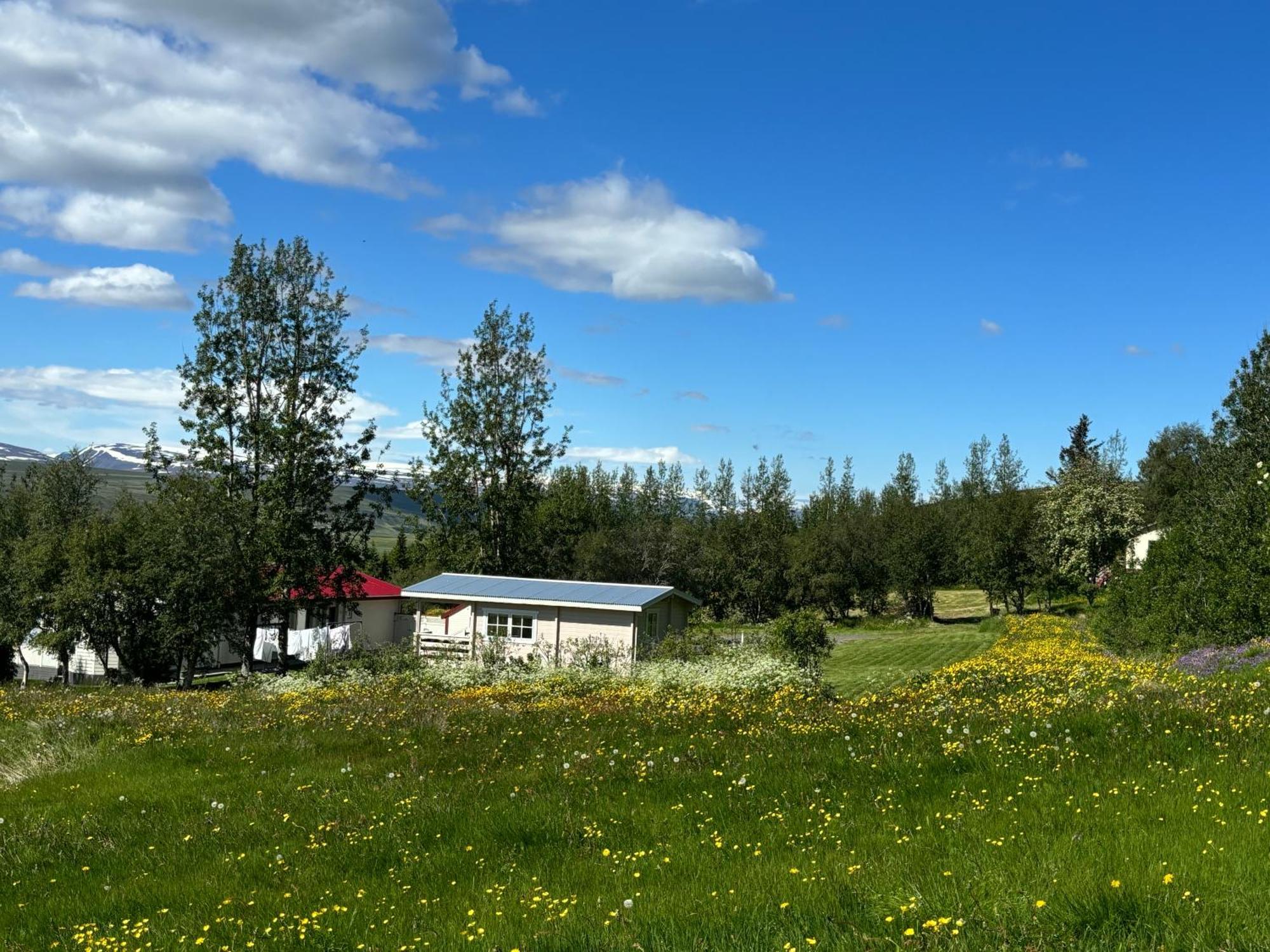 Laugar Guesthouse Exteriör bild